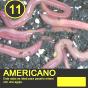 Americano máquina