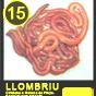 Lombriz