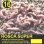 Rosca Super