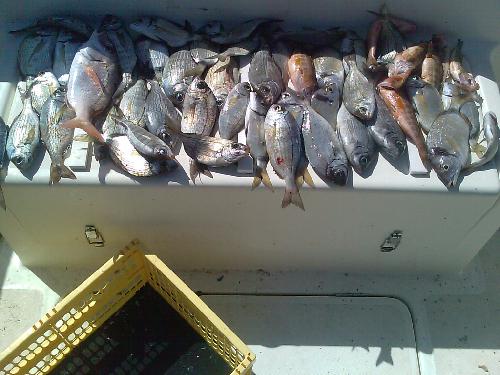 Pescando en Santi Petri