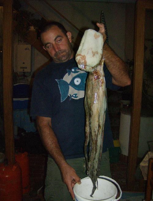 Peazo,De Cacho,De Trozo, De Pulpo