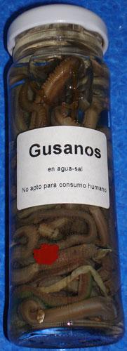 Foto de Gusanos en conserva